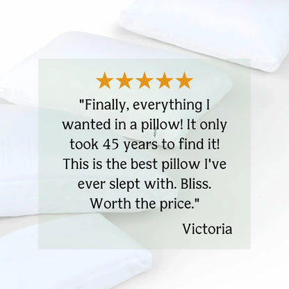 Aeyla The Dual Pillow 2-in-1 Neck Support