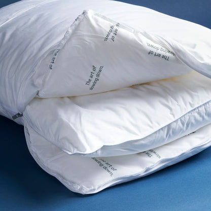 Aeyla The Dual Pillow 2-in-1 Neck Support